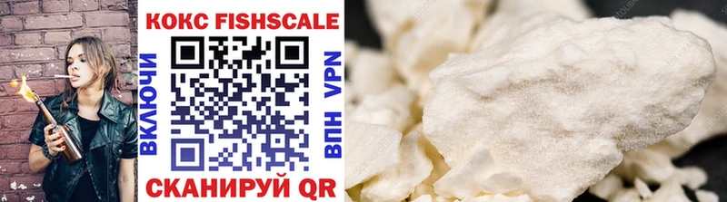 Cocaine FishScale  Купить где  Северодвинск 