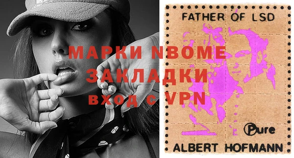 индика Осташков