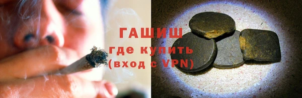 индика Осташков