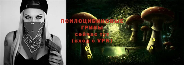 меф Осинники