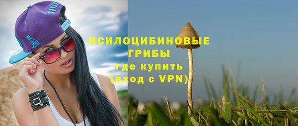 индика Осташков