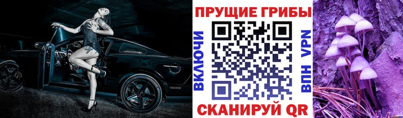 Купить закладки  Северодвинск  Галлюциногенные грибы ЛСД 